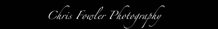 Pure Life Photography - logo graphic